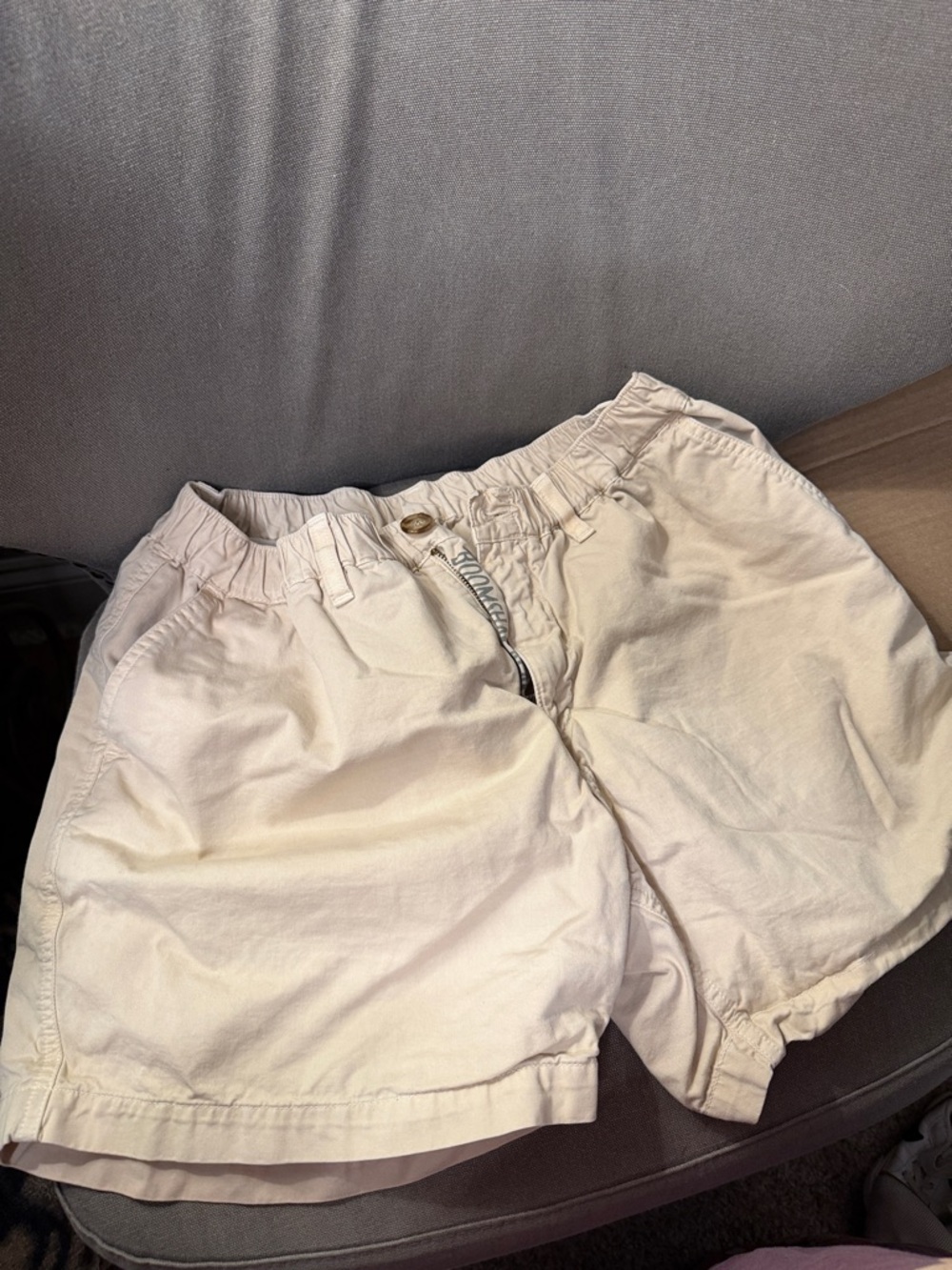 Chubbies Shorts